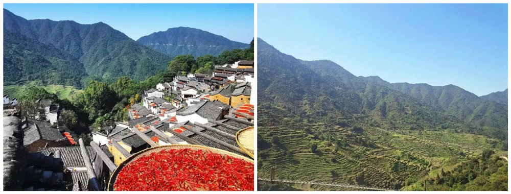 團建之旅丨晶天人，一起走向詩與遠方(圖1)