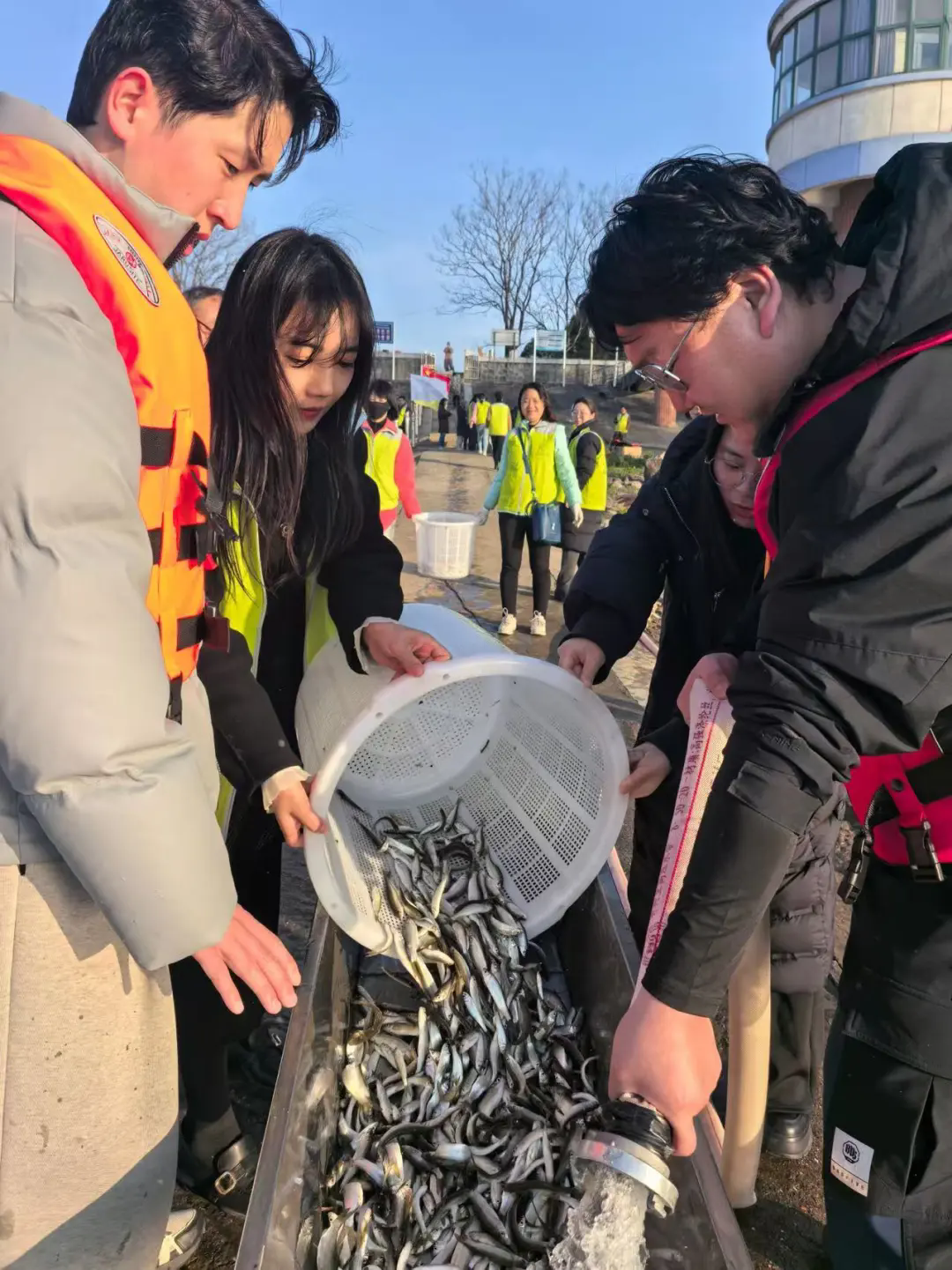 3.webp.png 3.webp.png